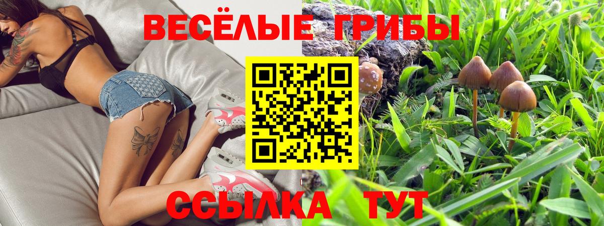 Чернушка  Галлюциногенные грибы Psilocybe  Галлюциногенные грибы Psilocybine cubensis  Вход с VPN 